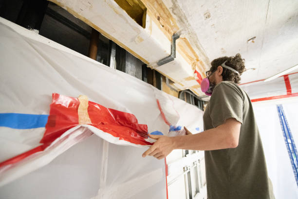 Reliable Manson, IA Mold Removal Solutions