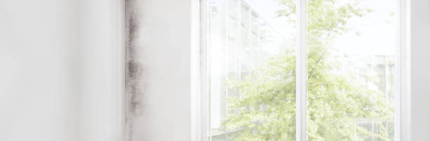 Mold Remediation for Rental Properties in Manson, IA